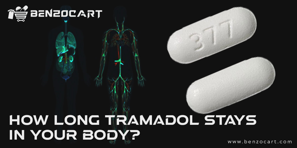 How Long Tramadol Stays in Your Body
