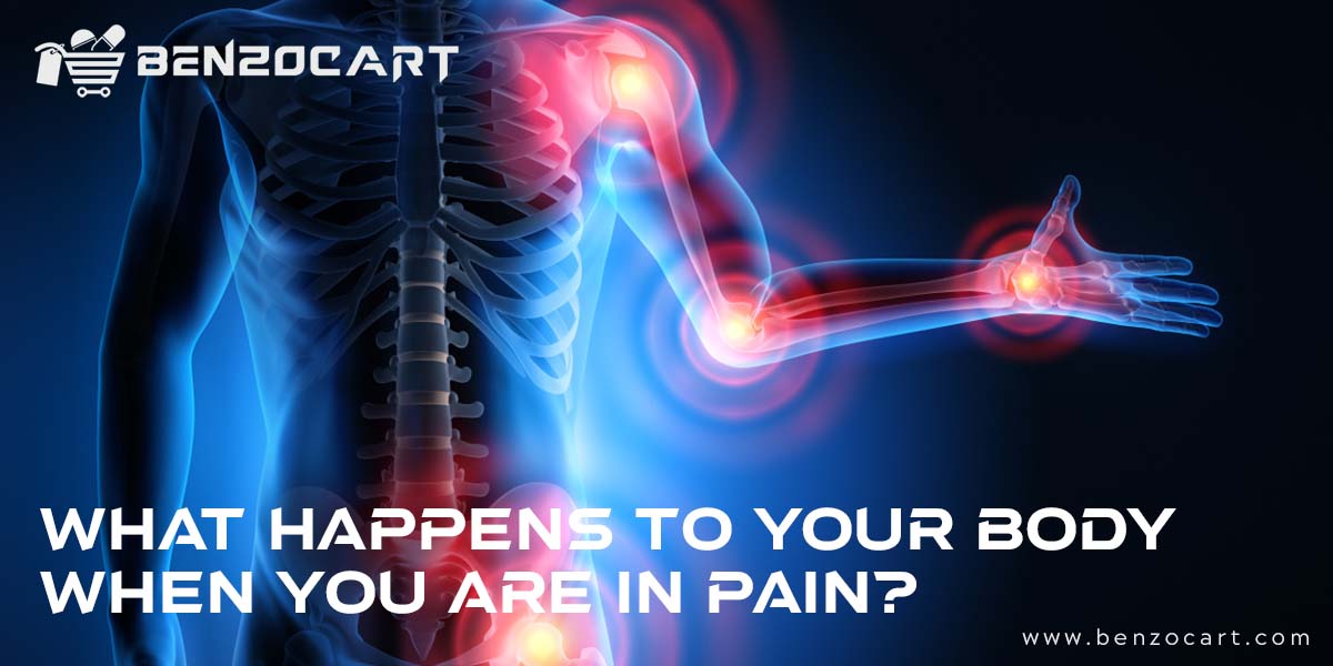 What happens to your body when you are in Pain
